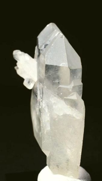 ���C�g�j���O�N�H�[�c ������ 52g (346)