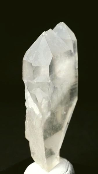 ���C�g�j���O�N�H�[�c ������ 52g (346)