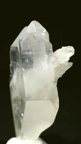 ���C�g�j���O�N�H�[�c ������ 52g (346)