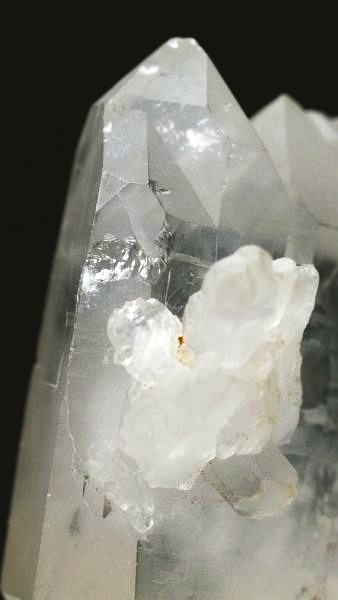 ���C�g�j���O�N�H�[�c ������ 52g (346)