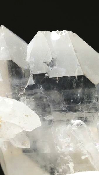 ���C�g�j���O�N�H�[�c ������ 52g (346)