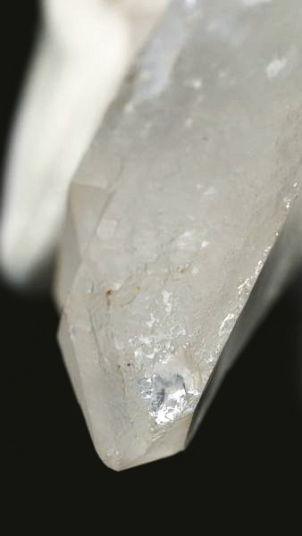 ���C�g�j���O�N�H�[�c ������ 52g (346)