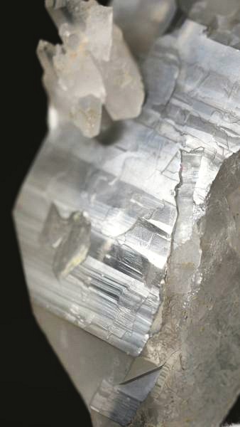 ���C�g�j���O�N�H�[�c ������ 52g (346)