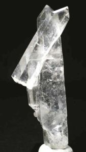 ���C�g�j���O�N�H�[�c<br> ������ 60g (347)