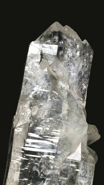 ���C�g�j���O�N�H�[�c ������ 60g (347)