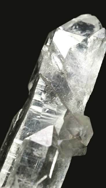 ���C�g�j���O�N�H�[�c ������ 60g (347)