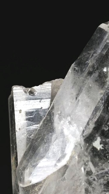 ���C�g�j���O�N�H�[�c ������ 60g (347)