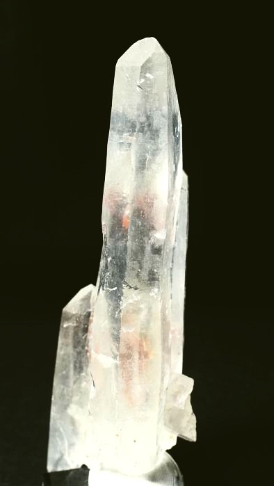 ���C�g�j���O�N�H�[�c ������ 119g (348)