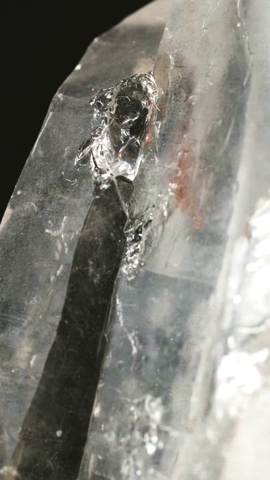 ���C�g�j���O�N�H�[�c ������ 119g (348)