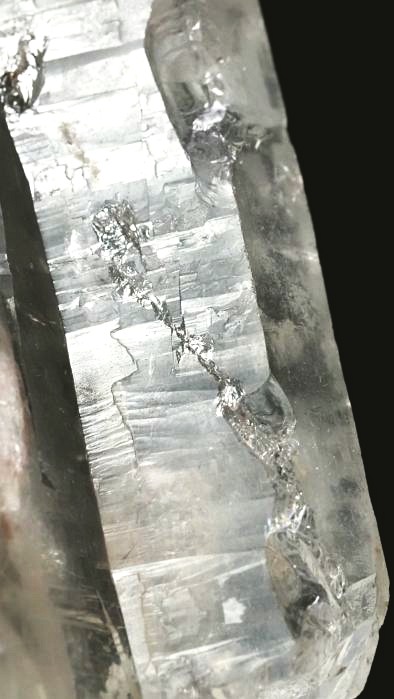 ���C�g�j���O�N�H�[�c ������ 119g (348)