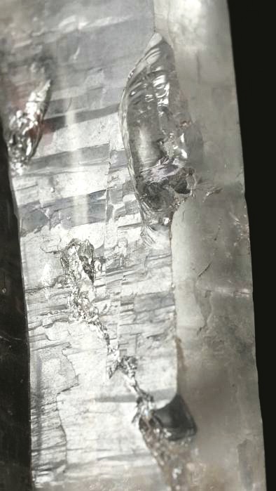 ���C�g�j���O�N�H�[�c ������ 119g (348)