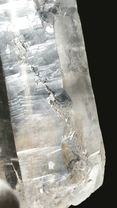 ���C�g�j���O�N�H�[�c ������ 119g (348)