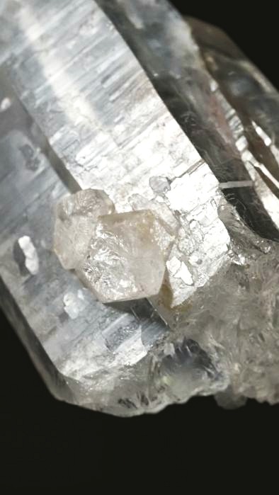 ���C�g�j���O�N�H�[�c ������ 119g (348)