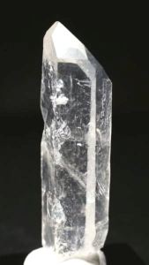 ���C�g�j���O�N�H�[�c<br> ������ 27g (349)