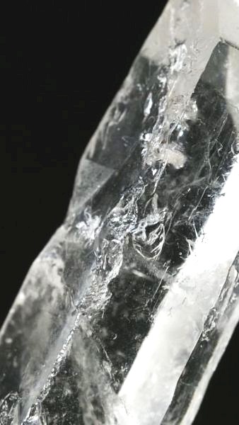 ���C�g�j���O�N�H�[�c ������ 27g (349)