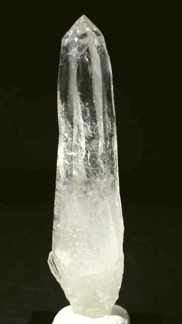 ���C�g�j���O�N�H�[�c ������ 37g (350)