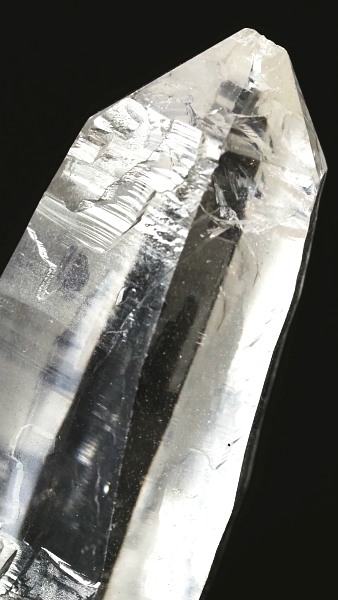 ���C�g�j���O�N�H�[�c ������ 37g (350)