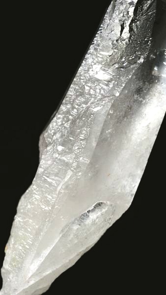 ���C�g�j���O�N�H�[�c ������ 37g (350)