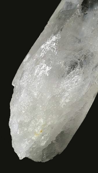 ���C�g�j���O�N�H�[�c ������ 37g (350)