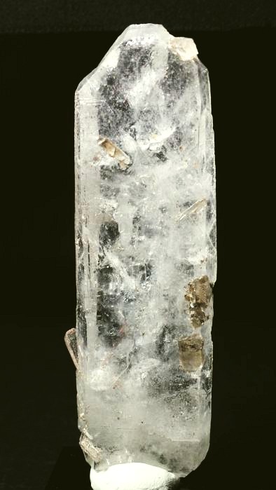 ���C�g�j���O�N�H�[�c ������ 94g (352)