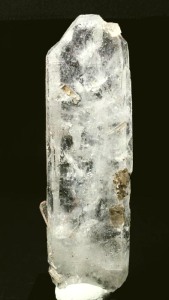 ���C�g�j���O�N�H�[�c<br> ������ 94g (352)