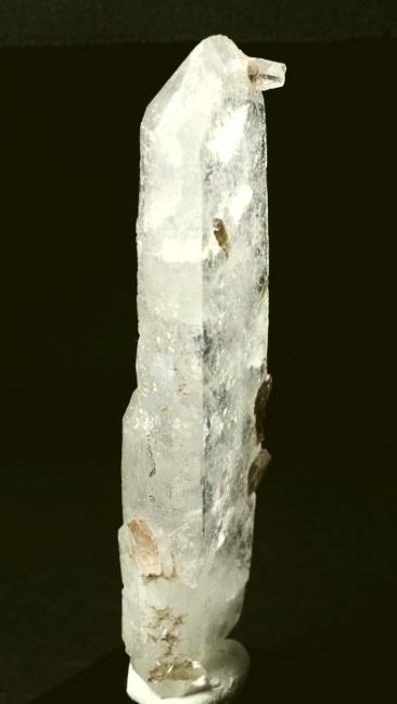 ���C�g�j���O�N�H�[�c ������ 94g (352)