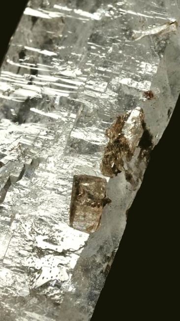 ���C�g�j���O�N�H�[�c ������ 94g (352)