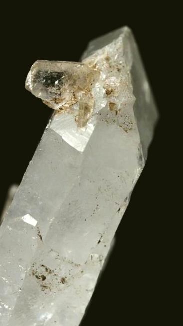 ���C�g�j���O�N�H�[�c ������ 94g (352)