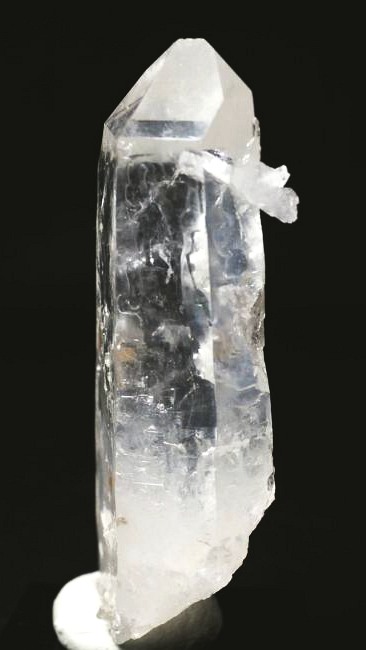 ���C�g�j���O�N�H�[�c ������ 67g (354)