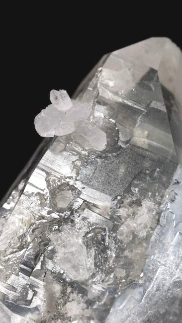 ���C�g�j���O�N�H�[�c ������ 67g (354)