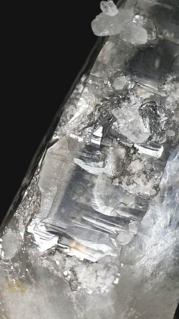 ���C�g�j���O�N�H�[�c ������ 67g (354)