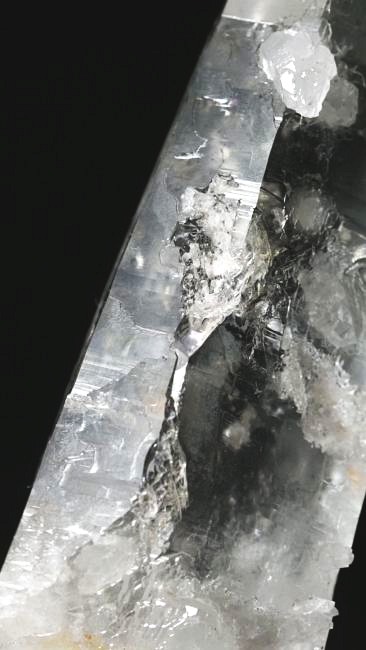 ���C�g�j���O�N�H�[�c ������ 67g (354)