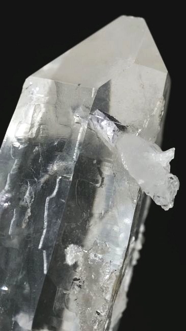 ���C�g�j���O�N�H�[�c ������ 67g (354)