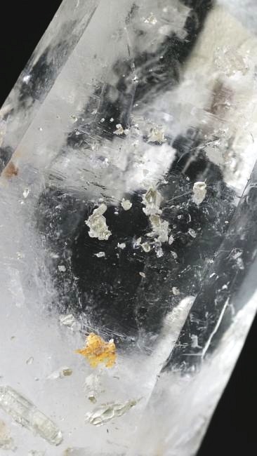 ���C�g�j���O�N�H�[�c ������ 67g (354)