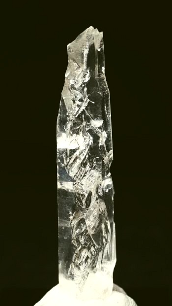 ���C�g�j���O�N�H�[�c ������ 11g (355)