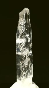 ���C�g�j���O�N�H�[�c<br> ������ 11g (355)