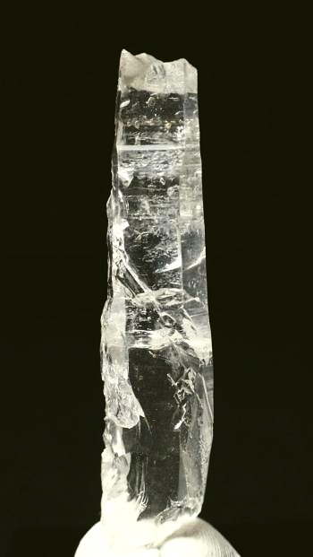 ���C�g�j���O�N�H�[�c ������ 11g (355)