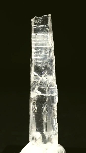 ���C�g�j���O�N�H�[�c ������ 11g (355)