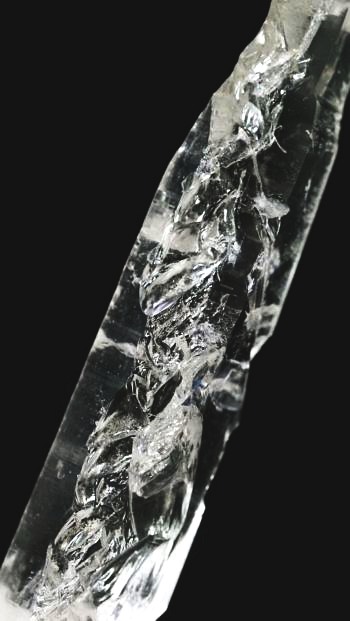 ���C�g�j���O�N�H�[�c ������ 11g (355)