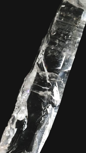 ���C�g�j���O�N�H�[�c ������ 11g (355)