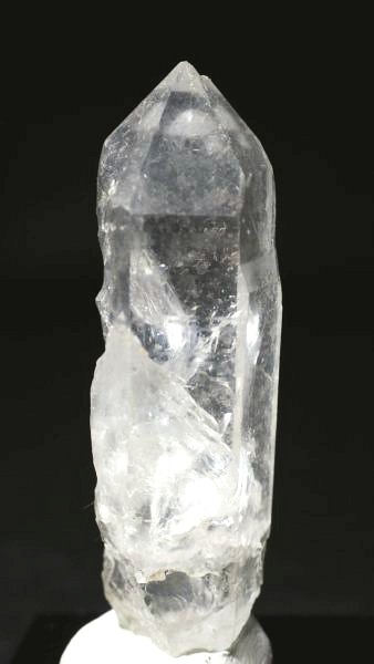 ���C�g�j���O�N�H�[�c ������ 27g (356)