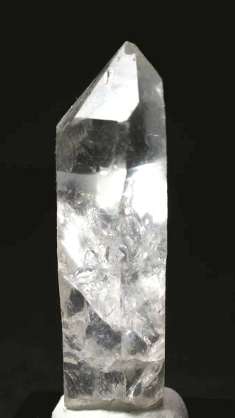 ���C�g�j���O�N�H�[�c ������ 27g (356)