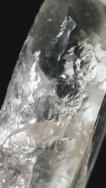 ���C�g�j���O�N�H�[�c ������ 27g (356)