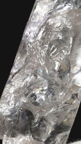 ���C�g�j���O�N�H�[�c ������ 27g (356)