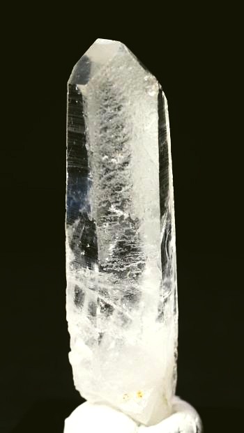 ���C�g�j���O�N�H�[�c ������ 21g (357)