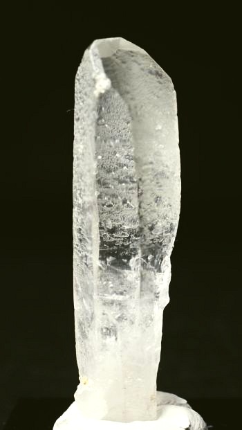 ���C�g�j���O�N�H�[�c ������ 21g (357)