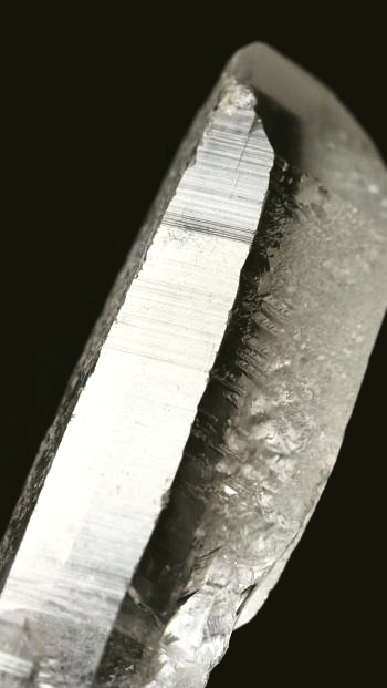 ���C�g�j���O�N�H�[�c ������ 21g (357)