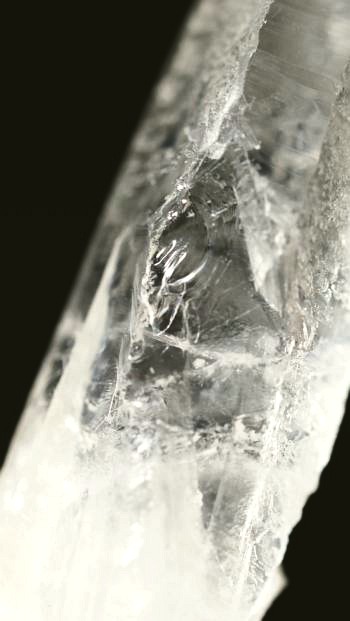 ���C�g�j���O�N�H�[�c ������ 21g (357)