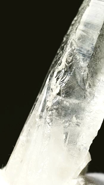 ���C�g�j���O�N�H�[�c ������ 21g (357)