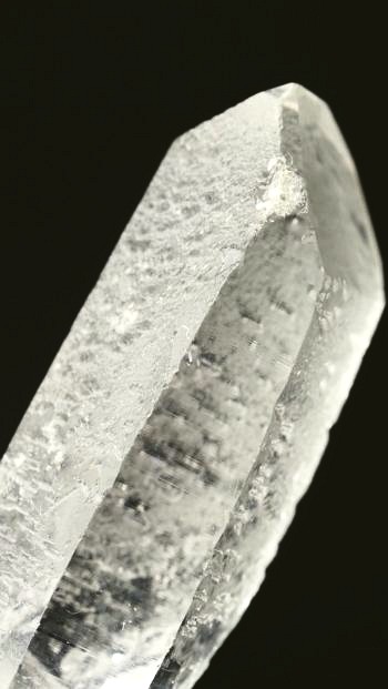 ���C�g�j���O�N�H�[�c ������ 21g (357)